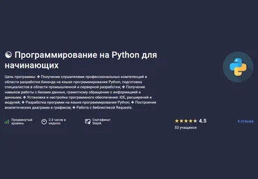 Stepik Максим Дуплей — Программирование на Python для начинающих 2024 слив
