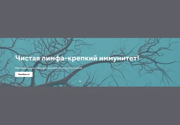 Светлана Калмыкова Frutorianka Чистая лимфа - крепкий иммунитет. Тариф Информативный 2023 слив