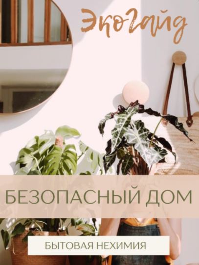 katrin_ecotrue ЭкоГайд «Безопасный дом. Бытовая нехимия» 2022 слив курса