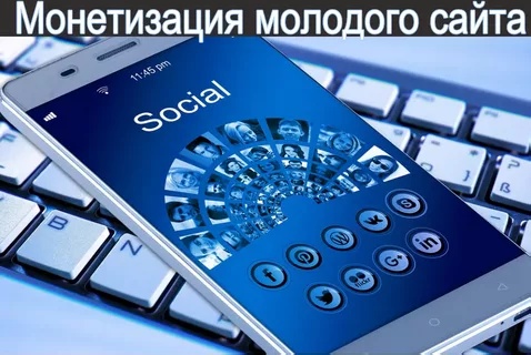 Роман Синицын Монетизация молодого сайта слив курса
