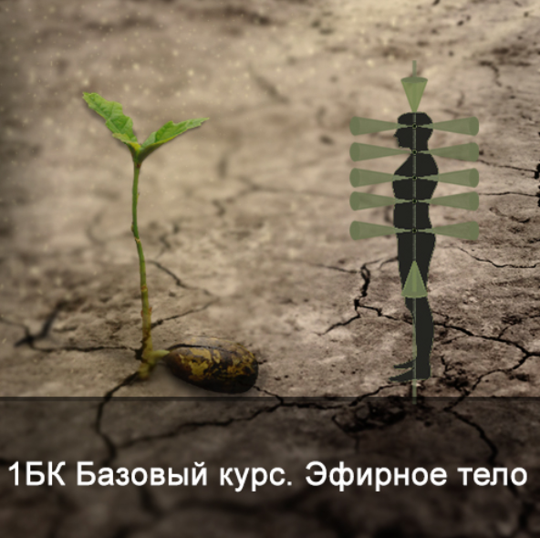 Ксения Меньшикова 1БК Базовый курс. Эфирное тело 2021 слив курса