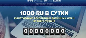 1000 ru в сутки - монетизация бесплатных доменных имен второго уровня - Данилов слив курса