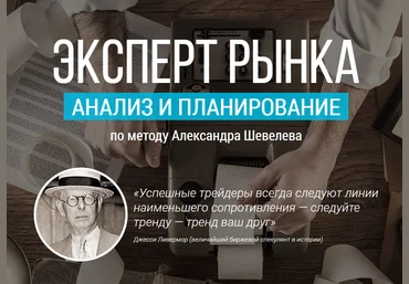 Эксперт рынка. Анализ и планирование по методу Александра Шевелева - Шевелев 2016 слив