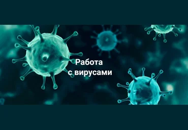 Никита Истомин Работа с вирусами 2024 скачать слив