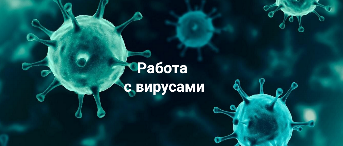 Никита Истомин Работа с вирусами 2024 слив курса