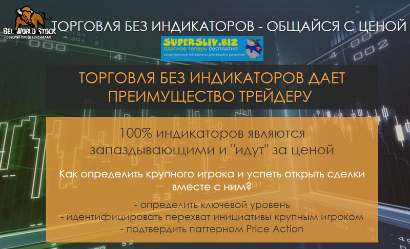 Мария Максимова Уровень начинающий. Перехват инициативы в рынке слив курса