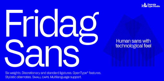 Myfonts Fridag Sans Font Family 2022 слив курса