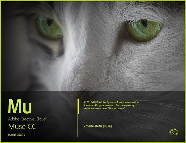 Adobe Muse 2015-1-0-2265 responsive BETA обновляемая слив курса