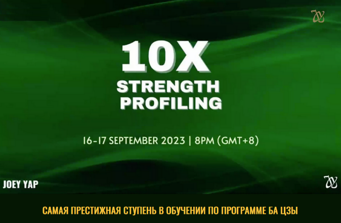 Joey Yap Сила профилей 10Х 2023 слив курса