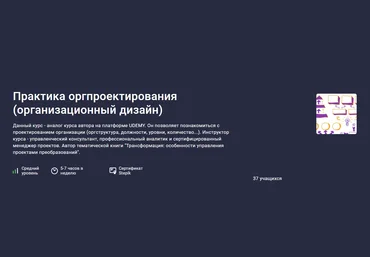 Stepik Никита Сергеев ― Практика оргпроектирования организационный дизайн 2024 слив