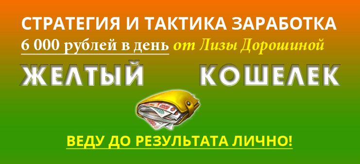 Желтый кошелек. Стратегия и тактика заработка Лизы Дорошиной слив курса