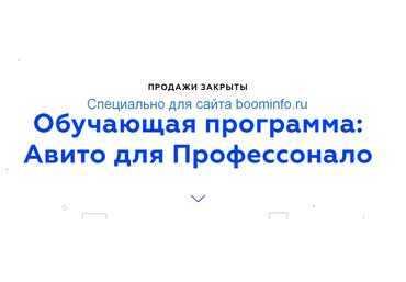 Тимур Евлоев Авито для Профессоналов 2020 слив