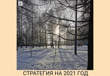 Private Investor Александр Петров Стратегия на 2021 год слив
