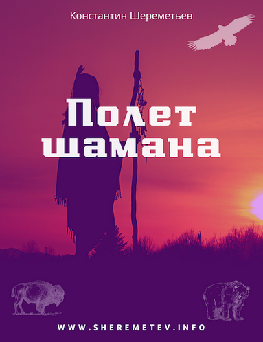 Константин Шереметьев Полет шамана. Комплект Базовый 2023 слив курса