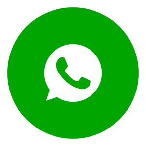 WhatSender Pro v5.0 2020 слив курса