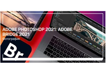 Андрей Журавлев Adobe Photoshop 2021: Adobe Bridge 2021 слив