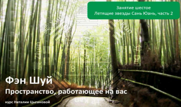 Наталия Цыганова Летящие звезды Сань Юань -2 Транскрибация слив курса