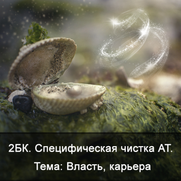 К. Меньшикова 2БК Специфическая чистка астрального тела. Тема: власть, карьера Школа Меньшиковой слив курса