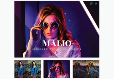 Elements.Envato Malio Mobile and Desktop Lightroom Presets 2021 скачать слив