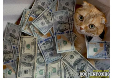 Breed Раскрутка и заработок на пустом аккаунте инстаграм 2020 скачать слив