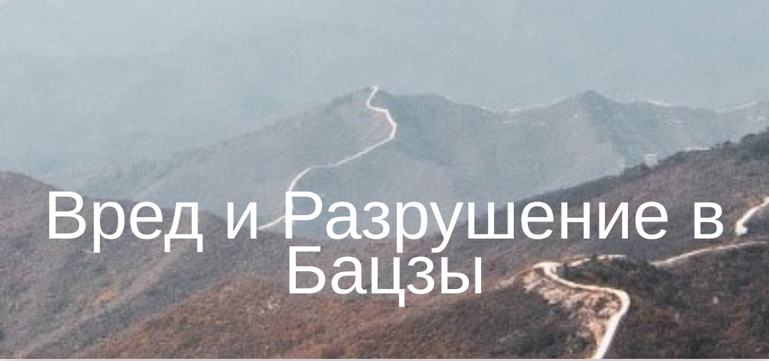 Юлия Бальсина Вред и разрушение в Бацзы 2024 слив курса