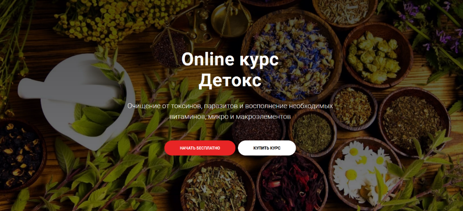 Тимофей Кармацкий Online курс «Детокс» 2023 слив курса