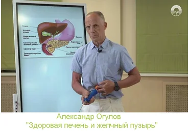 Александр Огулов Академия Огулова Здоровая печень и желчный пузырь 2023 скачать слив