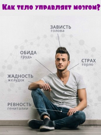 Как тело управляет мозгом? - kleiton 2017 слив курса