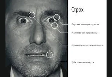 Психология лжи - Смыслов скачать слив