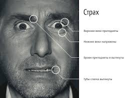 Психология лжи - Смыслов слив курса
