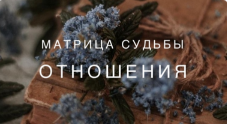 Ксения Ликич Матрица. Отношения 2022 слив курса