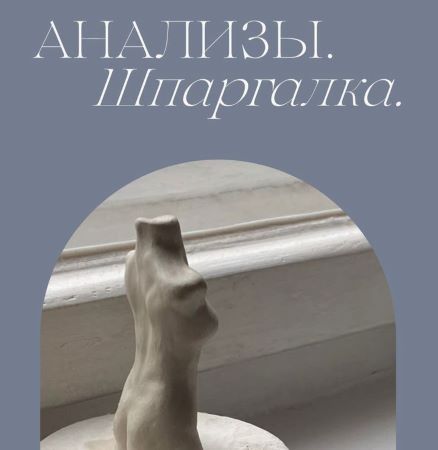 Мария Серт Анализы. Шпаргалка 2023 слив курса