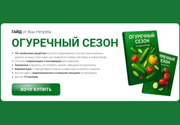 Labfood Яна Нетреба ― Гайд «Огуречный сезон» 2025 слив