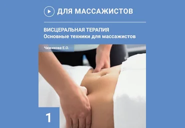 Евгения Чижикова Кинезиомассаж 5. Висцеральная терапия основные техники 2024 слив