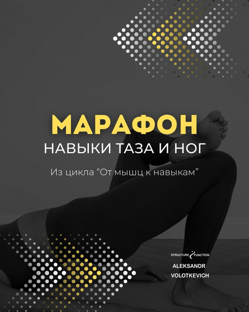 Александр Волоткевич От мышц к навыкам: марафон 2. Навыки таза и ног 2025 слив курса