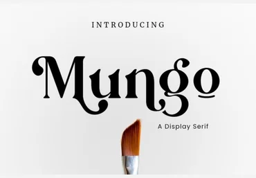 Creativefabrica Mungo Font 2021 слив