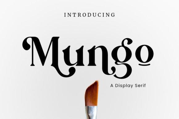 Creativefabrica Mungo Font 2021 слив курса