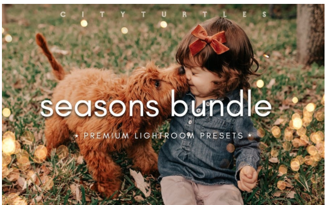 Elements.Envato Seasons Bundle Fall & Winter Lightroom Presets 2021 слив курса