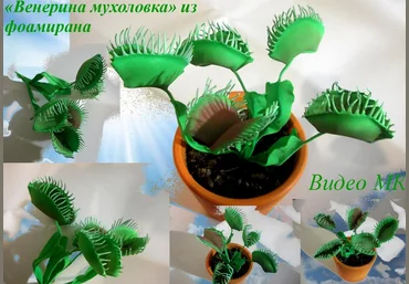 Венерина мухоловка из фоамирана - Мирсанова 2016 слив