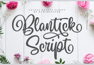 Creativefabrica Blantick Font слив