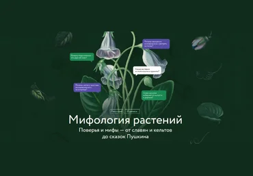 А. Баркова Мифология растений. Поверья и мифы - от славян и кельтов до сказок Пушкина 2025 слив