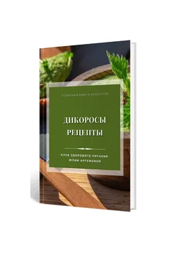МАН Юлия Артемова ― Дикоросы. Рецепты 2024 слив