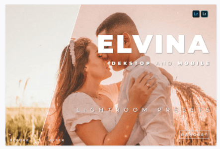 Elements.Envato Elvina Desktop and Mobile Lightroom Preset 2021 слив курса