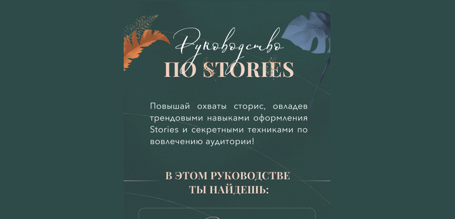 Катерина Алешина Руководство по stories 2021 слив курса