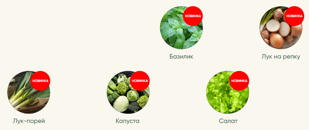 Анна Акинина Рассада без досады. Овощная рассада. Новые культуры 2023 слив курса