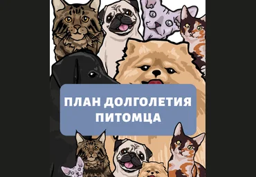 Наталья Федосеева Гайд «План долголетия питомца» 2022 слив