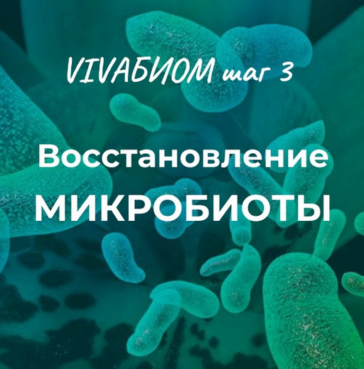 Анна Кортунова Vivabiom шаг 3: Восстановление микробиоты 2023 слив курса