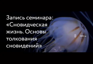 Стелла Гусарова Сновидческая жизнь. Основы толкования сновидений 2024 слив