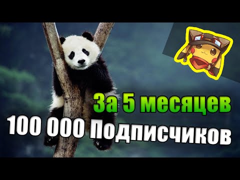 5 месяцев = 100 000 подписчиков Youtube Панда слив курса