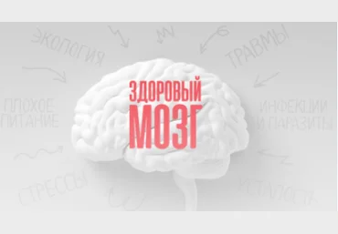 Здоровый мозг - Маматов 2017 слив
